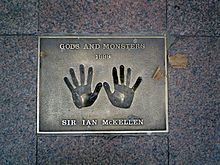 The hands of Sir Ian McKellen.jpg